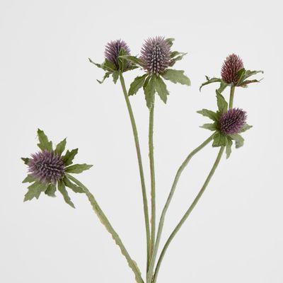 Purple Thistle Spray x 5