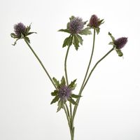 Purple Thistle Spray x 5