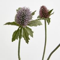 Purple Thistle Spray x 5