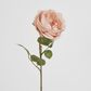 63cm Blush Pink Cabbage Rose