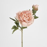 60cm Blush Pink Peony Spray