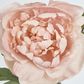 60cm Blush Pink Peony Spray