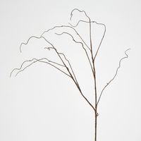 Brown Twig