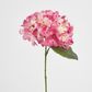 Two Tone Pink Hydrangea