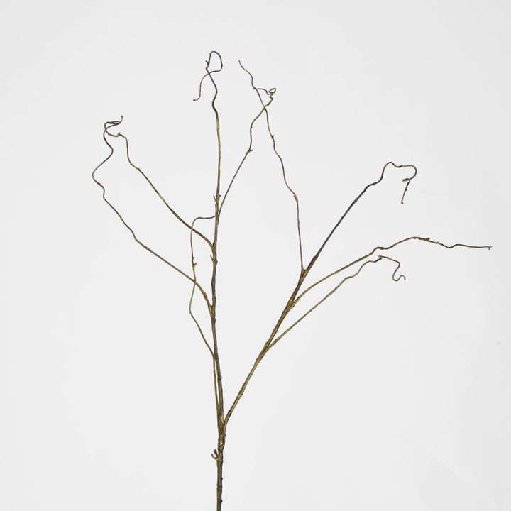 Dark Brown Twig