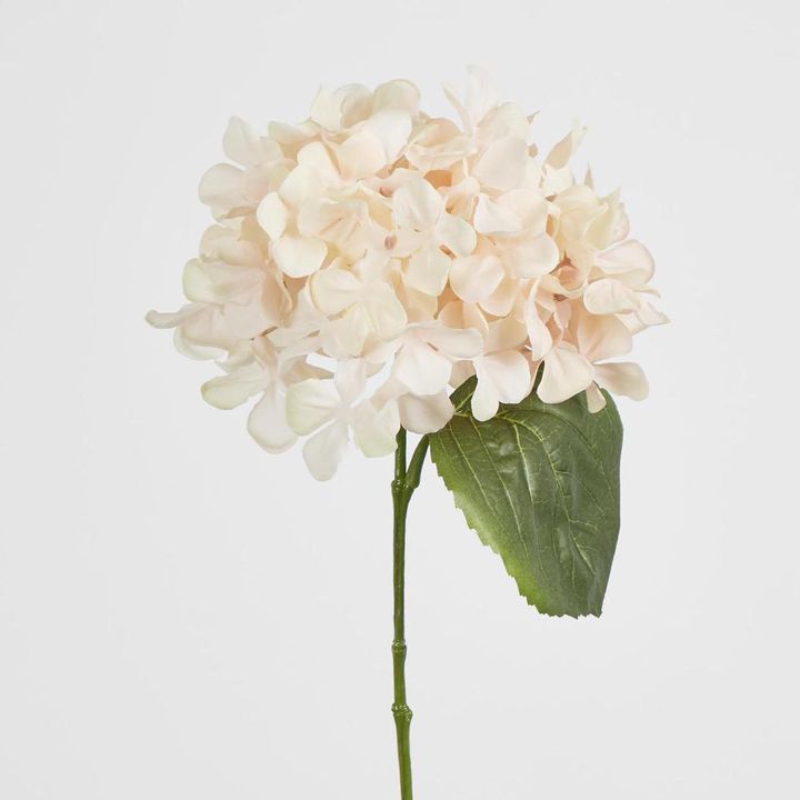 Blush Pink Hydrangea