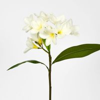 White Frangipani Spray