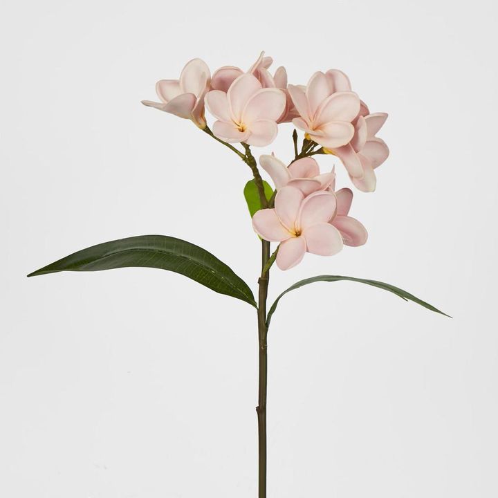 Pink Frangipani Spray 46cm
