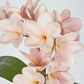 Pink Plumeria Spray