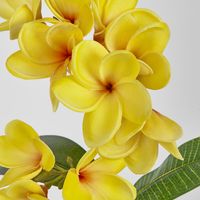 Yellow Plumeria Spray