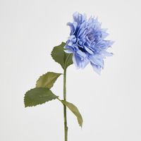 Dahlia 62cm Blue