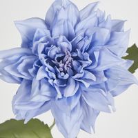 62cm Blue Dahlia