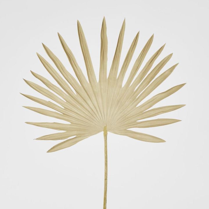 Beige Sun Palm leaf