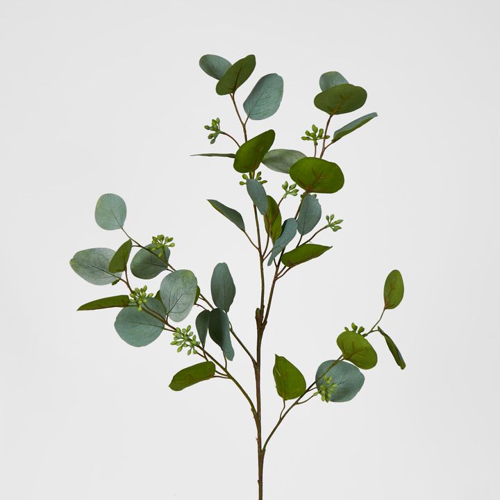 87cm Green Eucalyptus with Seed