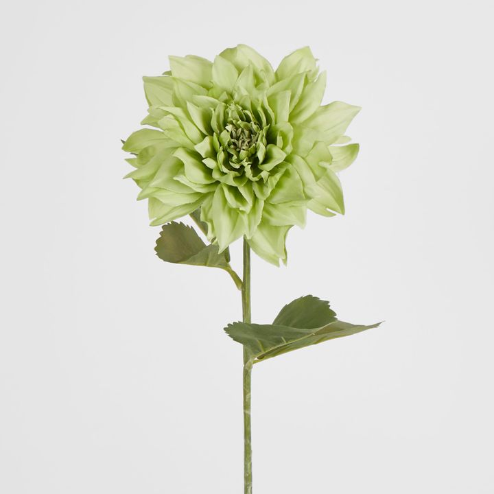 62cm Green Dahlia