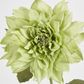 62cm Green Dahlia