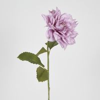 62cm Lavender Dahlia