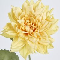 62cm Yellow Dahlia