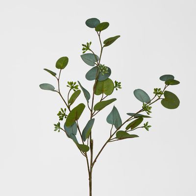 71cm Grey Green Eucalyptus with Seed