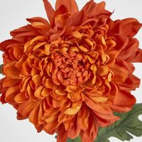 Chrysanthemum 76cm Orange
