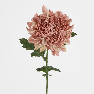 76cm Chrysanthemum