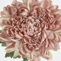 Chrysanthemum 76cm Purple