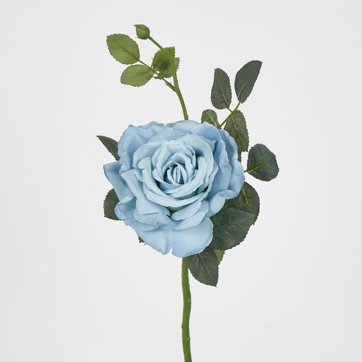 Queen Rose 35cm Blue