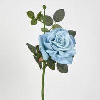 Queen Rose 35cm Blue
