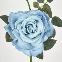 Queen Rose 35cm Blue
