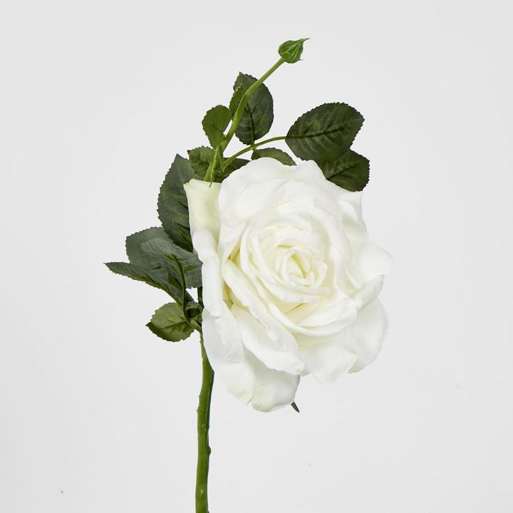 Queen Rose 35cm white