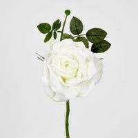 Queen Rose 35cm white