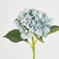 Slate Blue Hydrangea