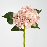 Hydrangea Water Stem 49cm Soft Pink