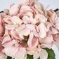 Soft Pink Hydrangea