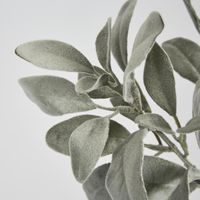 Olive green Flocked Lambs Ear Leaf Spray