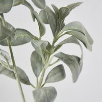 Lambs Ear leaf spray 71CM Green