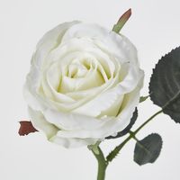 Jessica Rose Bud 31CM White