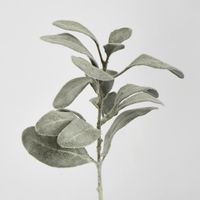 Olive Green Lamb Ear leaf spray Short Stem