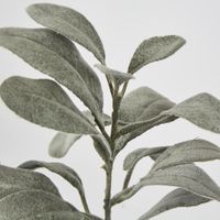 Olive Green Lamb Ear leaf spray Short Stem