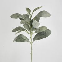Green Lamb Ear leaf spray Short Stem