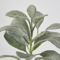 Green Lamb Ear leaf spray Short Stem