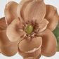 Beige Magnolia on Stem