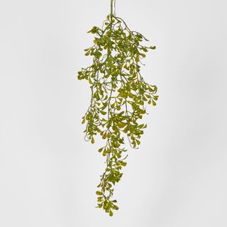 85cm Chinese Perfume Plant Hanging Bush