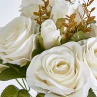 39cm White Rose Bush x 9