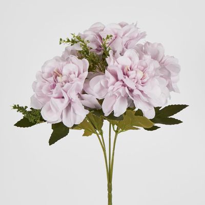 Pink Marigold Bush x 5