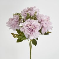 Marigold Bush x 5 Heads Pink