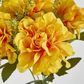 Gold Marigold Bush x 5