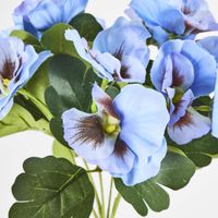 Pansy Bush 32cm Blue