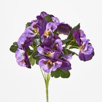 Purple Pansy Bush 32cm