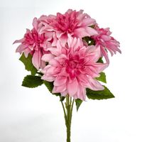 Dahlia Bush x 5 Light Pink